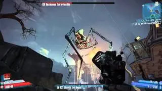 Borderlands 2: OP8 Bore-ssassin vs. Dexiduous the Invincible