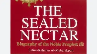 Aspects of Pre Arabian Islamic society