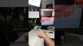 M4 Mac Mini vs AI mini PC