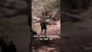 BIGFOOT/SASQUATCH SIGHTING IN THE UK 2023
