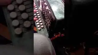 Гармонь чайка 2 с шестью полутонами