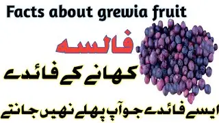 falsa k faiday in urdu llFalsa Fruit Benefits and Disadvantages #falsa #grewia #falsajuice