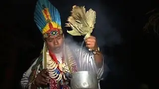 Yag&eacute;: the hallucinogenic beverage attracting tourists to Colombia