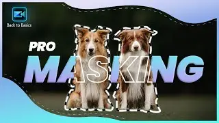 Расширенное маскирование: кисть, полигон и текстовые маски | Учебное пособие по основам видеомонт...