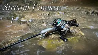 Targeting Arkansas native species using traditional mountain stream BFS techniques ep.1