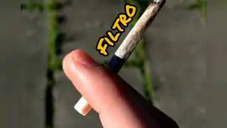 Filtro - Francesco Bucci