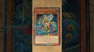 1st Place Mermail Deck Profile #yugioh
