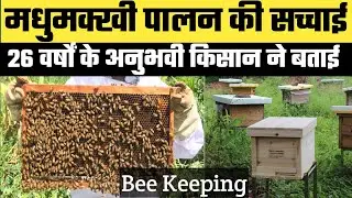 मधुमक्खी पालन से कमाए लाखों में | Honey bee keeping farming in India|Madhumakhi palan hindi|
