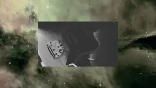 Palm Haze - Gravitation (Music Video)