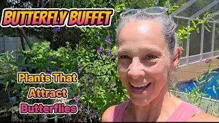 How To Attract Butterflies To Your Butterfly Garden!
