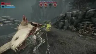 Evolve Stage 2 as Gorgon on launch day 1