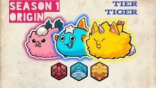 Hearty Warrior & Pangolin GG!! Can I reach top 100??