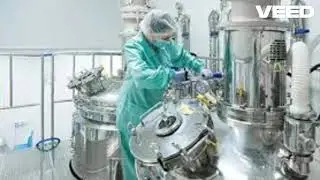 Mastering Reactor Temperature Calibration: A Pharma Essential