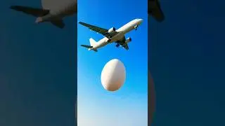A Frozen Egg A Mothers Love And A Painful Goodbye 😭 #ai #save #egg #hen #ostrich #birds  #shorts