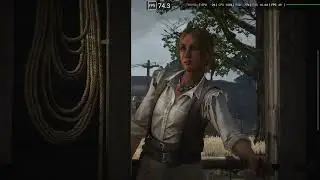 Red Dead redemption on Gamehub 4.1.5 - Odin 2 Portal - settings video in description 
