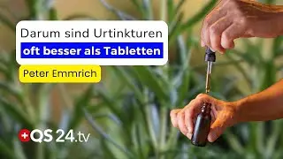 Heilpflanzen verstehen: Nat&uuml;rliche Unterst&uuml;tzung f&uuml;r K&ouml;rper und Nerven | Peter Emmrich | QS24