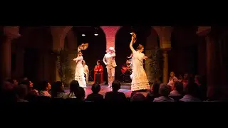 MUSEO DEL BAILE FLAMENCO- Guajira