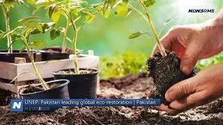 UNEP: Pakistan leading global eco-restoration | Pakistan News | NewsRme