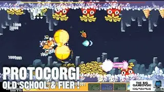 ProtoCorgi preview - chien fid&egrave;le aux traditions shmup... TBG770