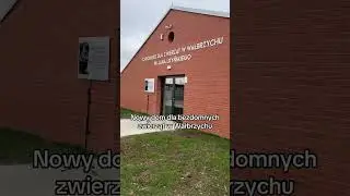 Nowy dom dla bezdomnych zwierząt w Wałbrzychu