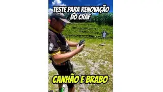 Teste para renova&ccedil;&atilde;o do craf 2026 
