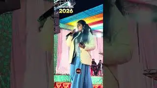 BHEEM TIGER PROFESSIONAL LIVE SOUND TRUS AND LIGHT 9770373392