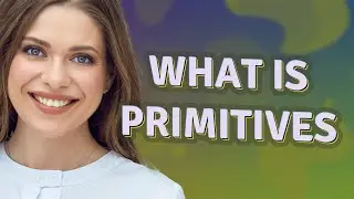 Primitives | meaning of Primitives