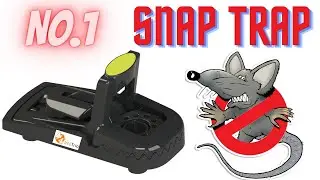 Best Snap Trap Rat & Mouse | Professional Rat Traps for Mice & Rats | Rodent Snap Traps