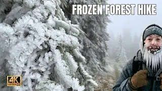 Icy Winter Forest Walk 🌫️❄️ | Frozen Highlands During Foggy Days