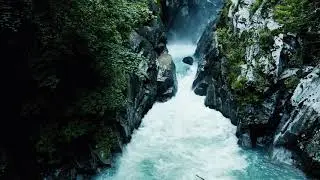 AMBIENT NATURE. PROJECT-14