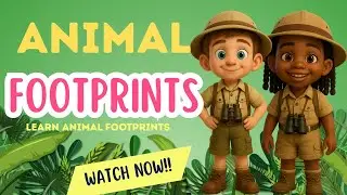 Animal Footprints | Kid Educational Video | Animal Tracks | Toddler Learning Video
