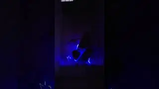 led fiber whip dance results #shorts