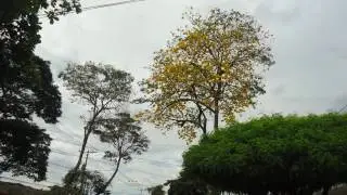 Hospital San Jose de Buga- Parque Fuenmayor.