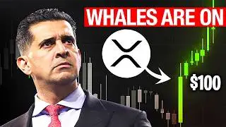 ПОДОЖДИТЕ!!! Патрик Бет-Дэвид СДЕЛАЛ прогноз на XRP в 100 долларов?! (Безумие)