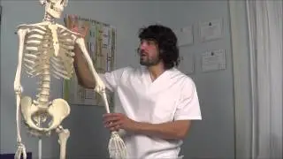 Tendinitis Supraespinoso: Tratamiento de Osteopat&iacute;a y Cadenas Musculares por Francisco Alonso