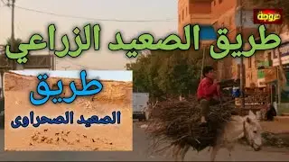 جولة من طريق الصعيد الصحراوى إلى طريق الصعيد الزراعي #قناة_خروجة #الشارع_المصري