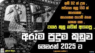 කළුවැල්දෙණිය අරුම පුදුම පහන් කූඩුව 2025 | part 02 | kaluweldeniya pahan kuduwa|#viralvideo #trending