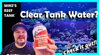 DIY Coral Snow: Clear Up Your Reef Tank Water Fast!