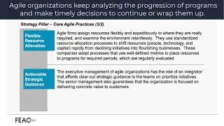 Five Pillars of Agile Organizations