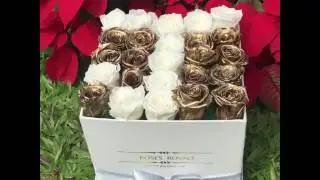 Roses Royale Deluxe Chic White Box - Royale Customized Roses l rosesroyale.com l  Preserved Roses