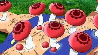Luffy kun on Amazon Lily Time Skip