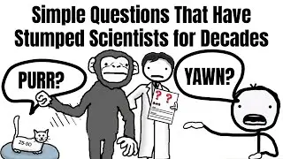 Simple Questions That Have Stumped Scientists for Decades