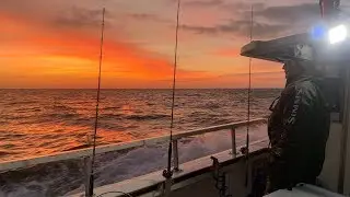 Winter Tog (Tautog) Fishing off Belmar Beach - Last Charter of 2018