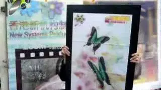 Lenticular butterfly animated display using LenBB tiles