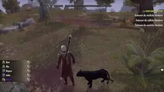 The Elder Scrolls Online: Verzauberungsgutachten Schnittermark