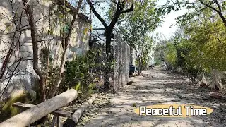 [4K] Медленная жизнь в китайской деревне | Медленная жизнь в сельской местности Китая