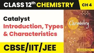 Catalyst: Introduction, Types & Characteristics | Class 12 Chemistry Chapter 4 | CBSE 2024-25