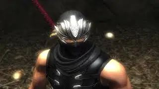 Ninja gaiden finale bosses and bosses and more bosses