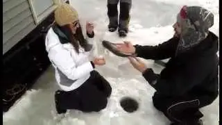 The Midwest Proposal