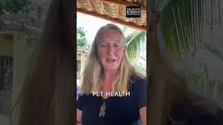 Transform Pets' Lives as a Certified Holistic Pet Health Coach | Join our Program Today!